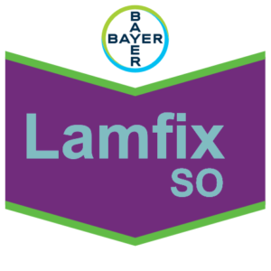 LAMFIX SO
